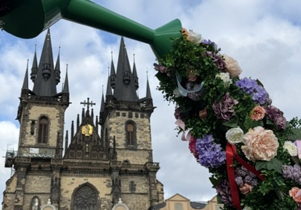 Знакомство с лабиринтами Старого города.