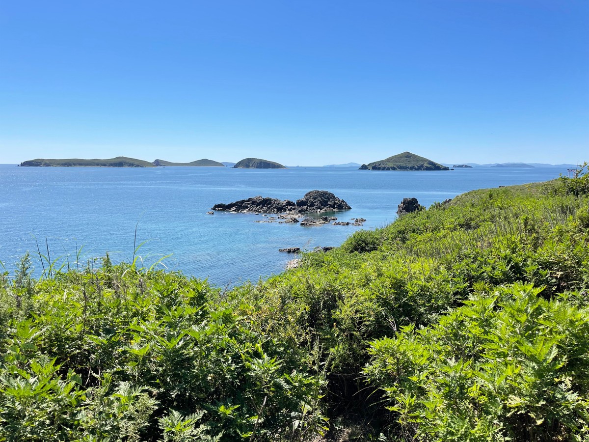 По волнам Японского моря на яхте с маской, сапом и деликатесами (мини-группа) - фото 4