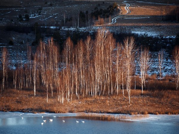 Треккинг по Изборско-Мальской долине - фото 3