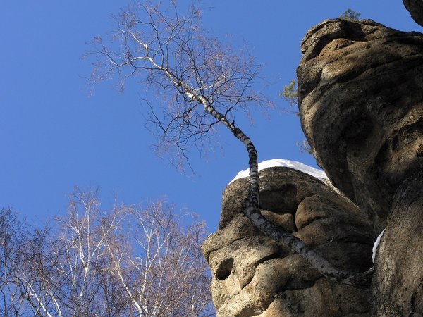 Места силы Белокурихи - фото 4