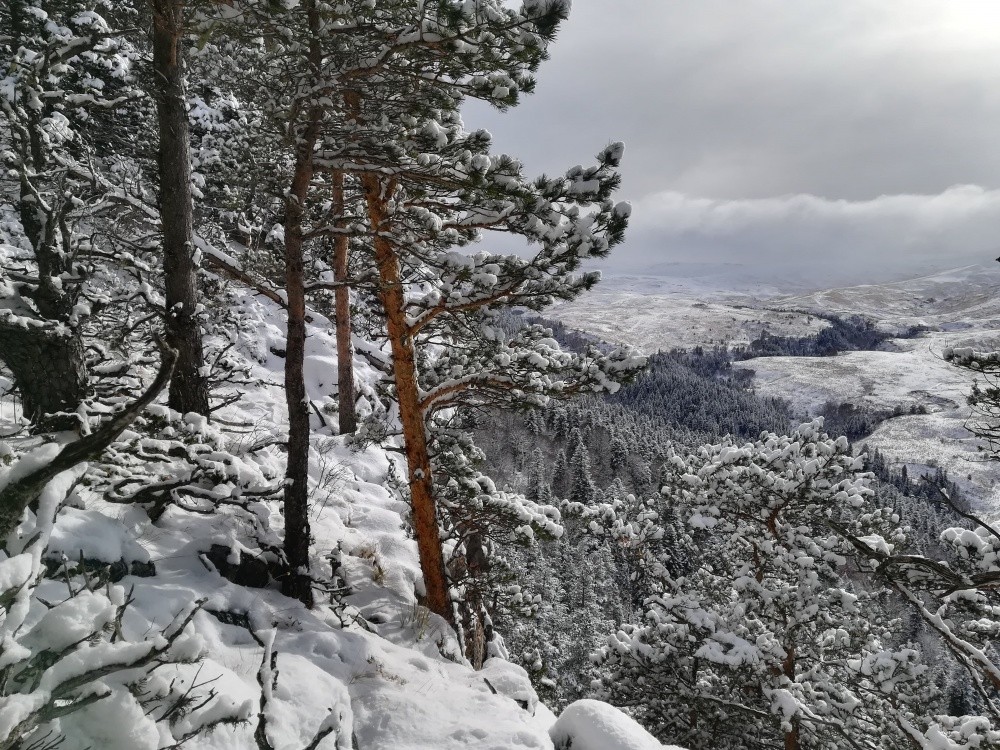 Новогодняя сказка в Адыгее - фото 4