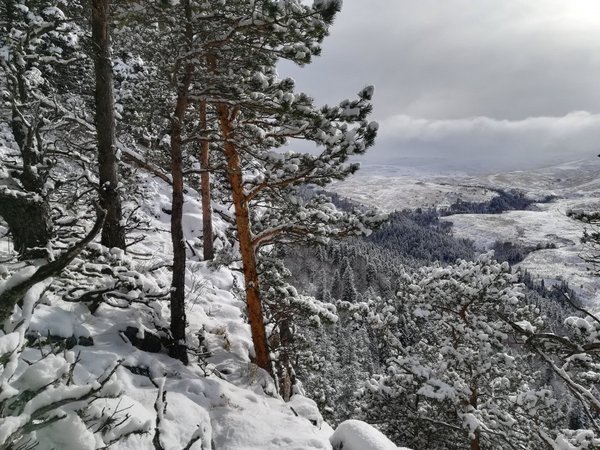 Новогодняя сказка в Адыгее - фото 4