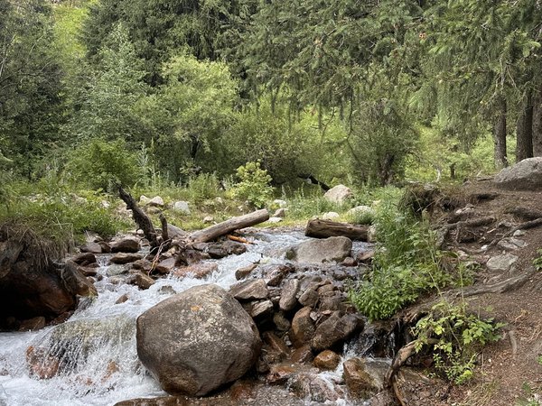 Алматы и горы за один день: Бутаковский водопад, «Медеу», Шымбулак - фото 2