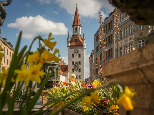 «Интересно по Мюнхену» — пешеходная экскурсия - фото 2
