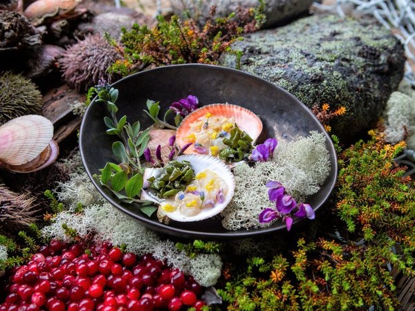 Вкус Севера: гастрономический тур по Кольскому полуострову для вашей компании - фото 3