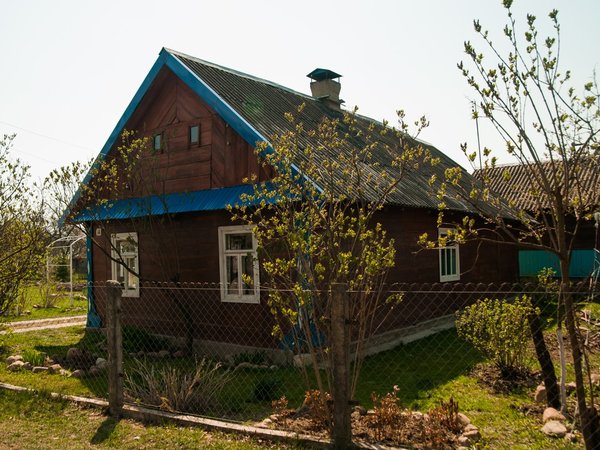 Красота Брестской земли: Беловежская пуща и не только за 2 дня - фото 4