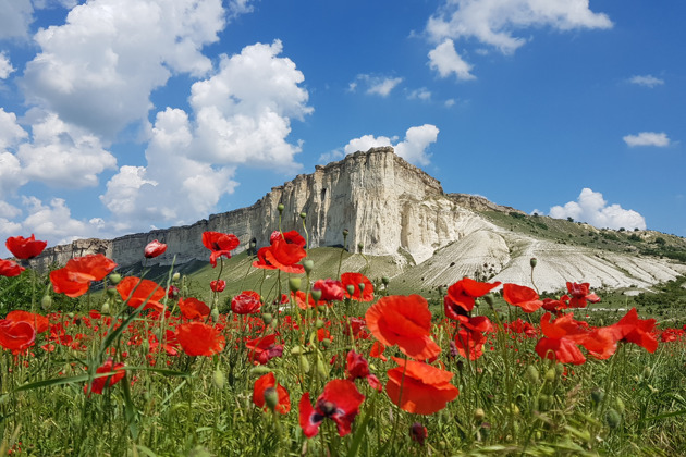 Фото - экскурсия: Трансфер до отеля с лучшим экскурсоводом Крыма