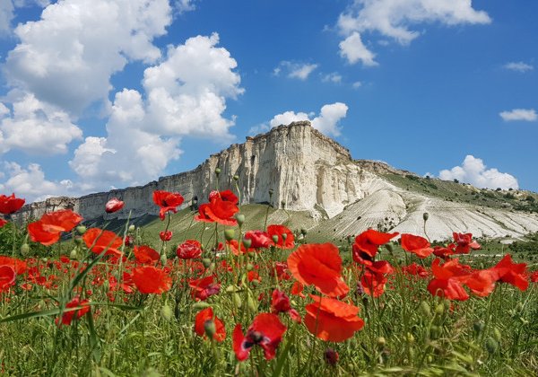 Трансфер до отеля с лучшим экскурсоводом Крыма