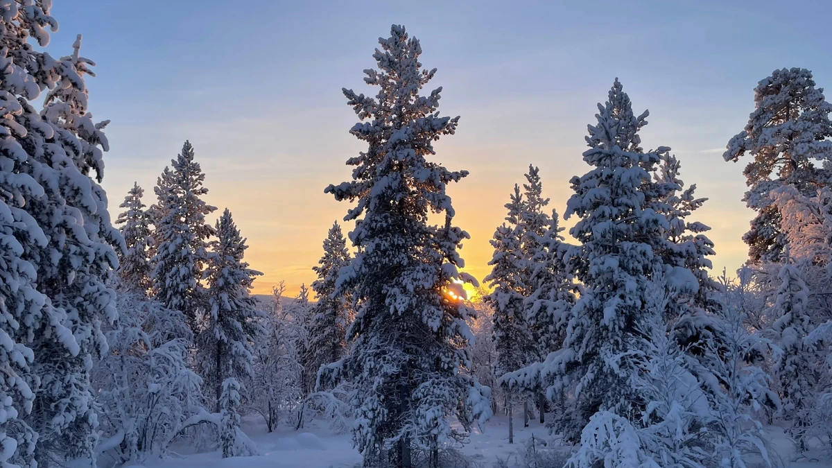 В саамскую деревню из Мурманска — к оленям, хаски и духам севера - фото 3