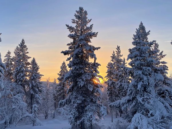 В саамскую деревню из Мурманска — к оленям, хаски и духам севера - фото 3