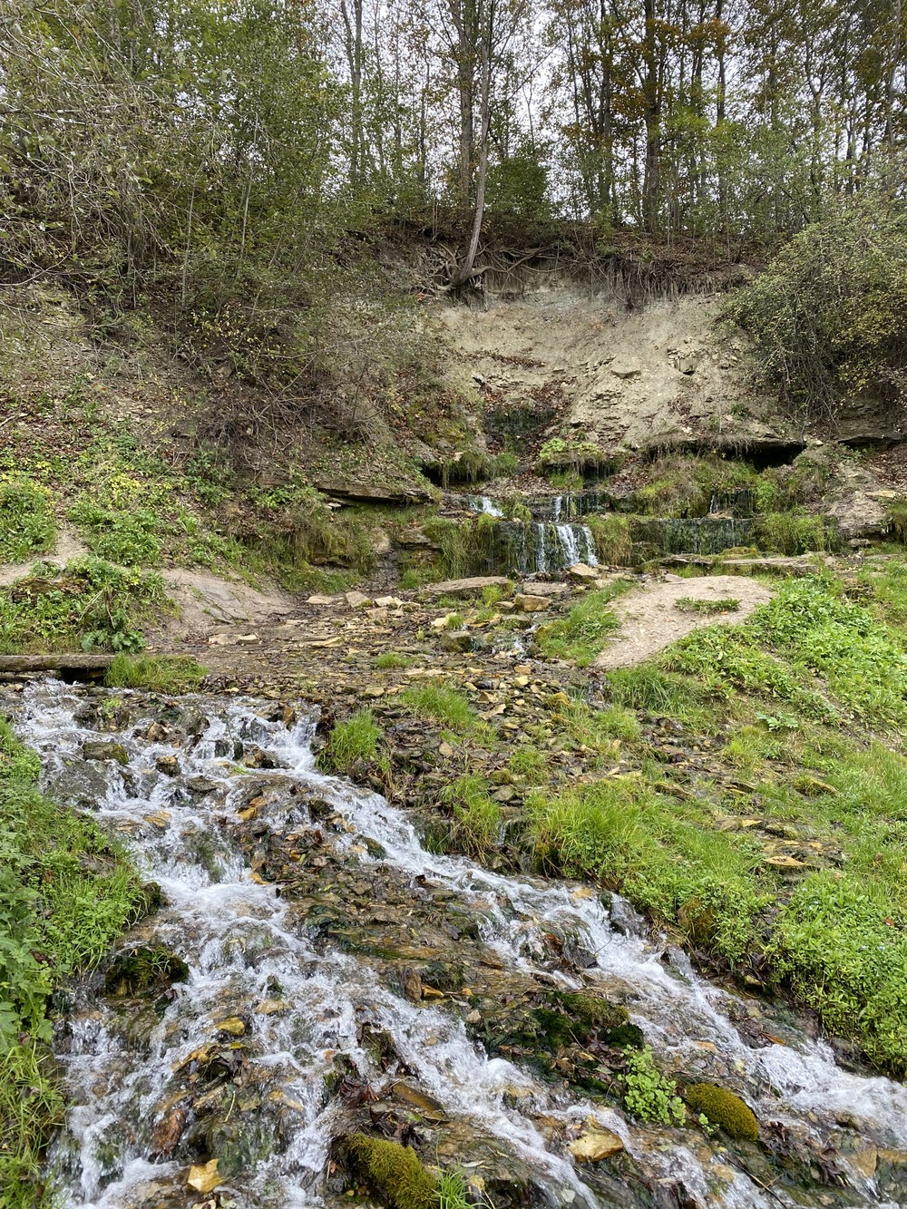 Древности Изборского края - фото 1