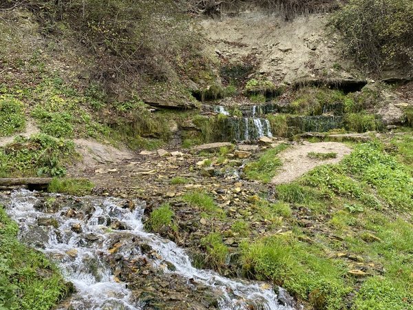 Древности Изборского края - фото 1