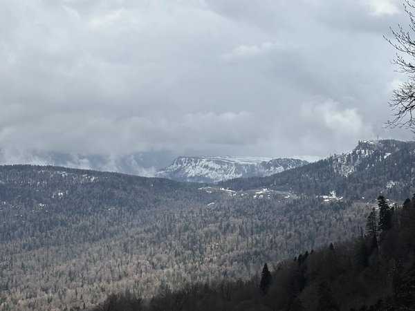 В Лаго-Наки из Краснодара: горы, чистый воздух и лёгкие прогулки - фото 2