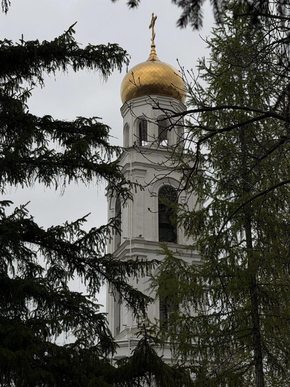 Она — Самара: история города в женских судьбах - фото 4