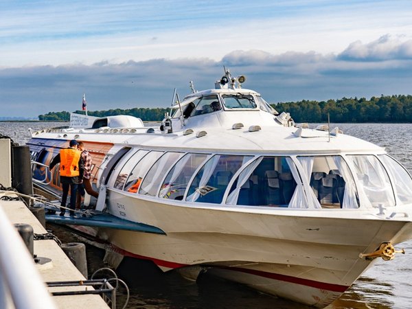 В Нижний парк Петергофа на метеоре — из Петербурга - фото 3