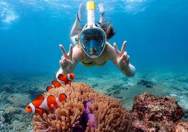 Подводная одиссея в Сиамском заливе - фото 1