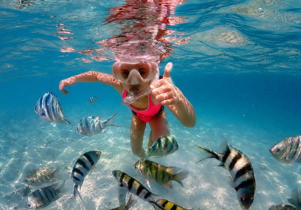 Подводная одиссея в Сиамском заливе - фото 4