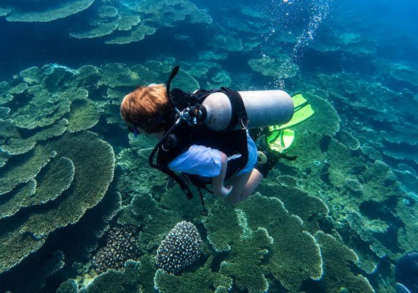 Дайвинг: подводное приключение на островах Крам - фото 2