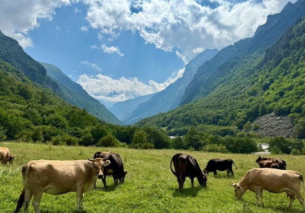 Горная Балкария: от Голубого озера до долины Уштулу - фото 1
