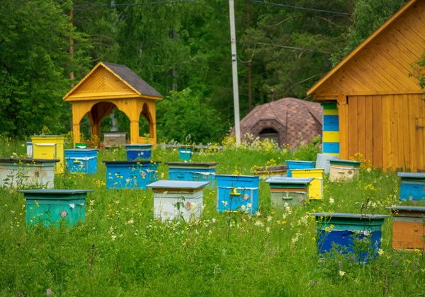 Легенды, капища и юрты: три дня в Башкирии - фото 1
