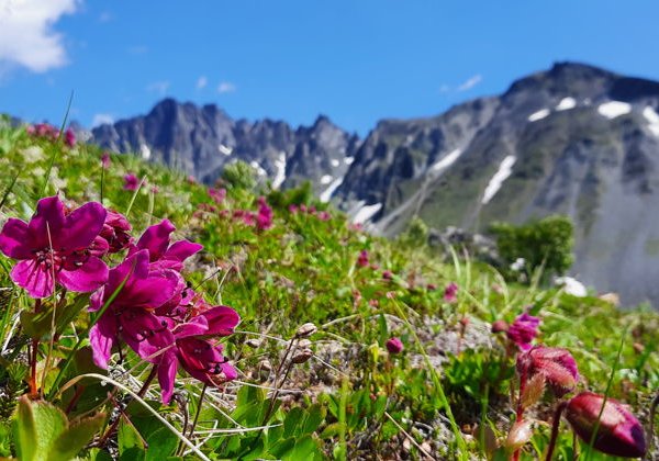 Маленькая тайна Камчатки — Ганальские востряки   - фото 3