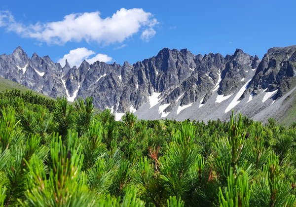 Маленькая тайна Камчатки — Ганальские востряки   - фото 4