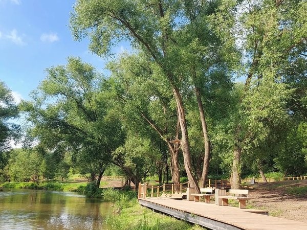 Зарайск, Даровое, Сенницы — очарование старинных усадеб (на вашем авто) - фото 3