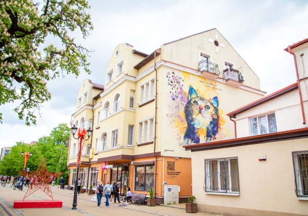 Утренняя Куршская коса и Танцующий лес из Зеленоградска - фото 4