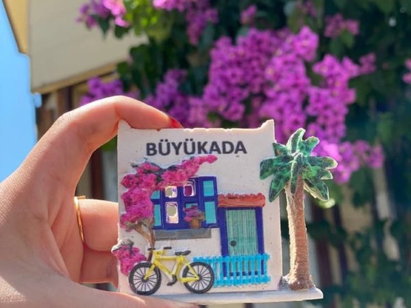 Из Стамбула на Принцевы острова: морская прогулка, природа и отдых - фото 3