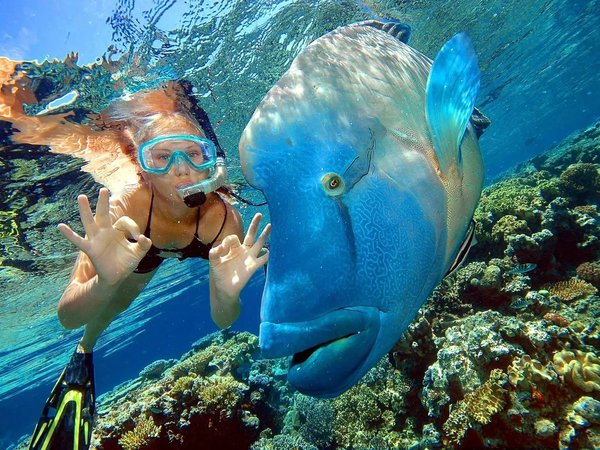 Подводный мир Красного моря и остров Хула-Хула — из Хургады - фото 1