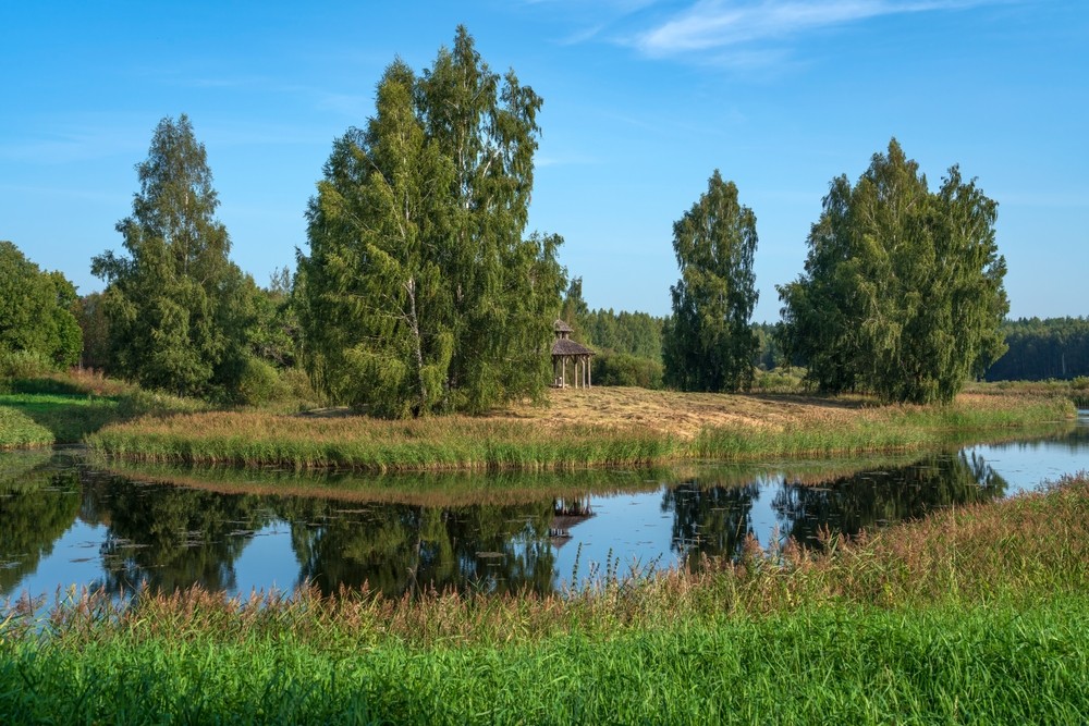 Из Санкт-Петербурга в Пушкинские Горы. Автобусный экспресс-тур - фото 3