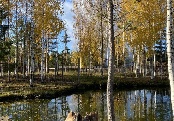 Осень в Карелии: три дня среди огненных лесов и зеркальных озёр - фото 1