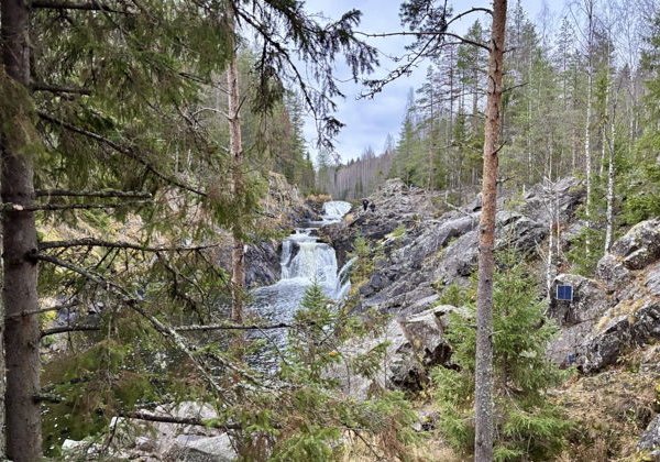 Осень в Карелии: три дня среди огненных лесов и зеркальных озёр - фото 3