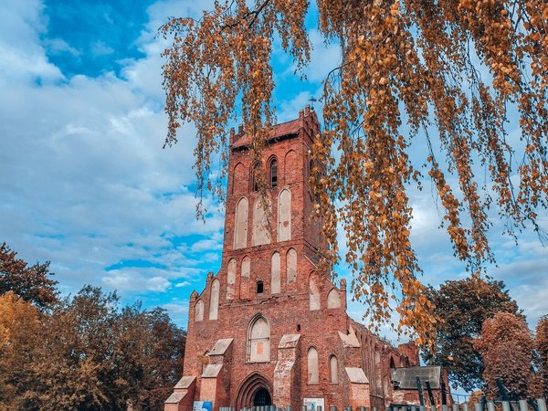 Разноцветная провинция - фото 2