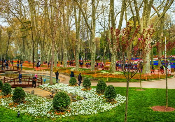 Великолепный Стамбул - без дополнительных расходов - фото 2