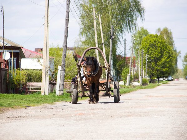 Клады земли рязанской: истории, мифы и неподложные факты - фото 4