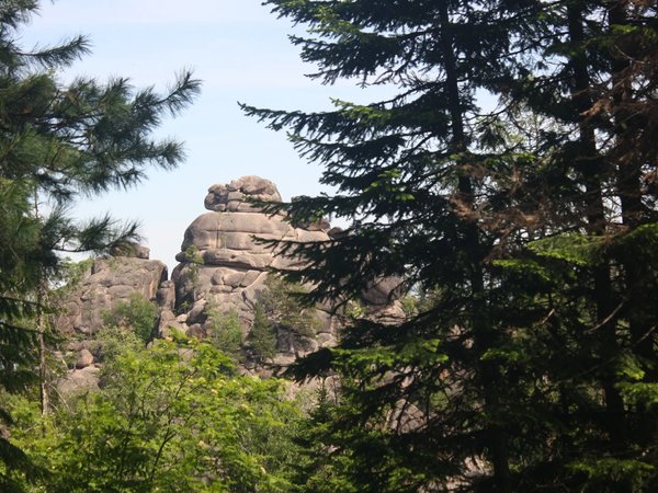 Красноярские Столбы — с заброской к скалам на автобусе - фото 2