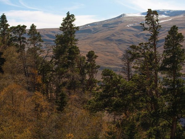 Волшебная Адыгея: из Краснодара — на плато Лаго-Наки - фото 4