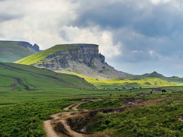 Плато Бермамыт + конная прогулка по желанию - фото 4