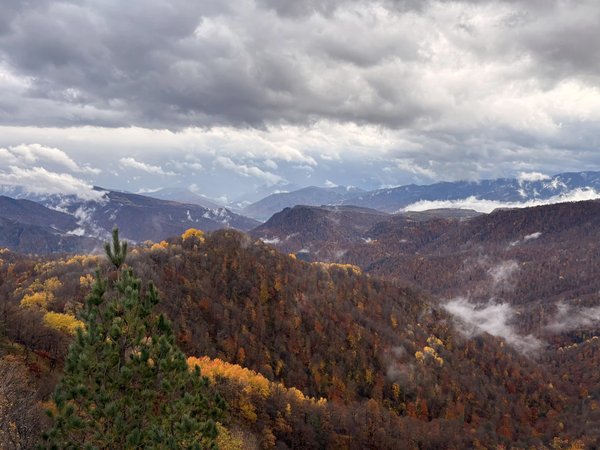 Каменное море Адыгеи — из Краснодара - фото 1