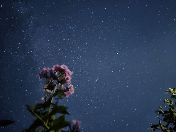 Звёздные Минеральные Воды: вечерняя поездка в обсерваторию - фото 4