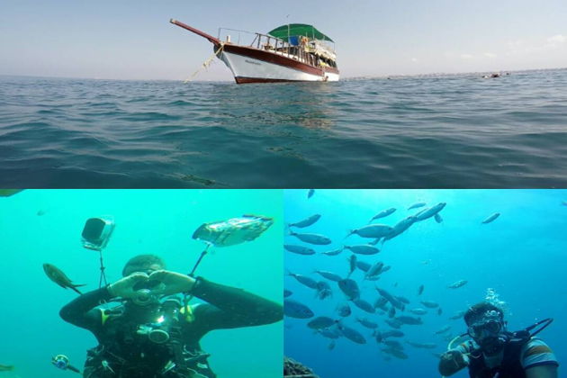 Фото экскурсии - Погружение с аквалангом в Сиде - 7