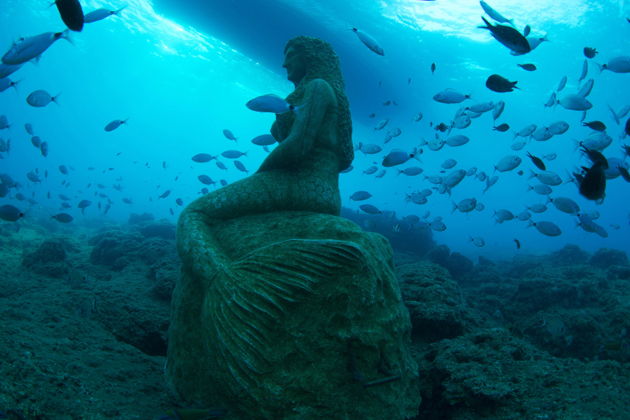 Фото экскурсии - Погружение с аквалангом в Сиде - 6