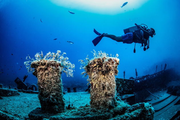 Фото экскурсии - Погружение с аквалангом в Сиде - 10