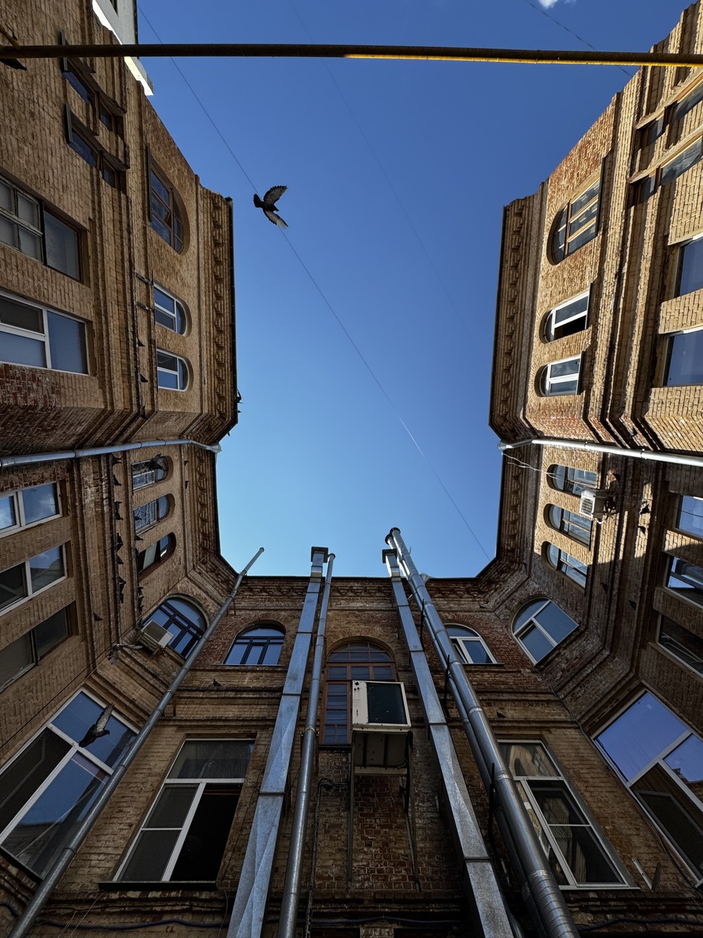 Петербургская душа самарских дворов - фото 2
