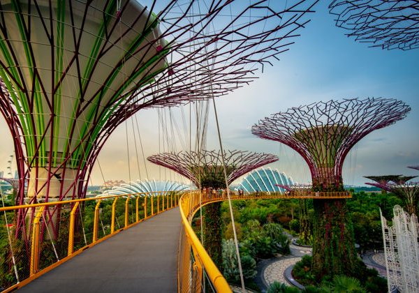 Сады у залива: цветочные оранжереи, Облачный лес и смотровая - фото 1