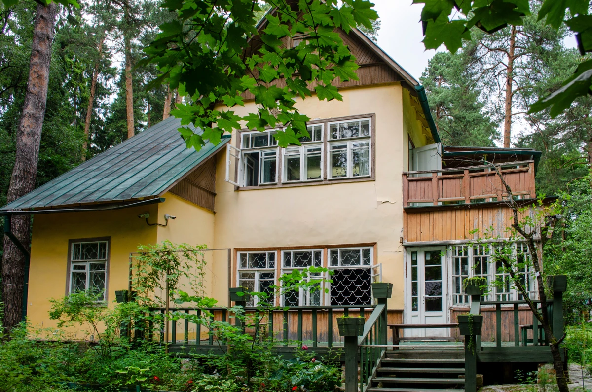 Переделкино с местным жителем и членом Союза писателей (в группе) - фото 3