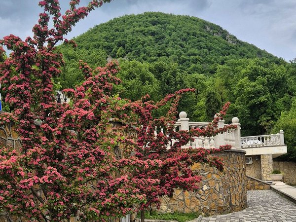 Железноводск в деталях: источники, дворцы и парки - фото 2