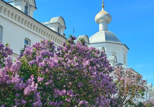 Ладожские шхеры и Валаам — индивидуальное путешествие на катере - фото 1