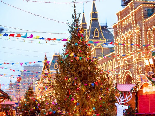 Новогодняя автобусная экскурсия в группе - фото 1